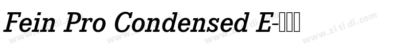 Fein Pro Condensed E字体转换